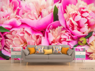 Фотообои Ярко розовые пионы - 1