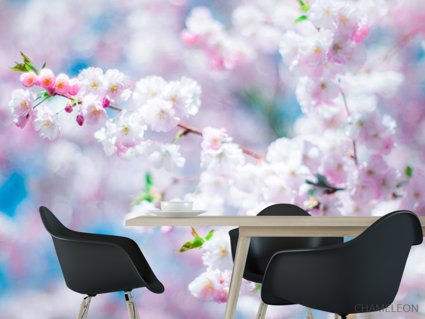 Фотошпалери Білі пушинки кольорів - 1