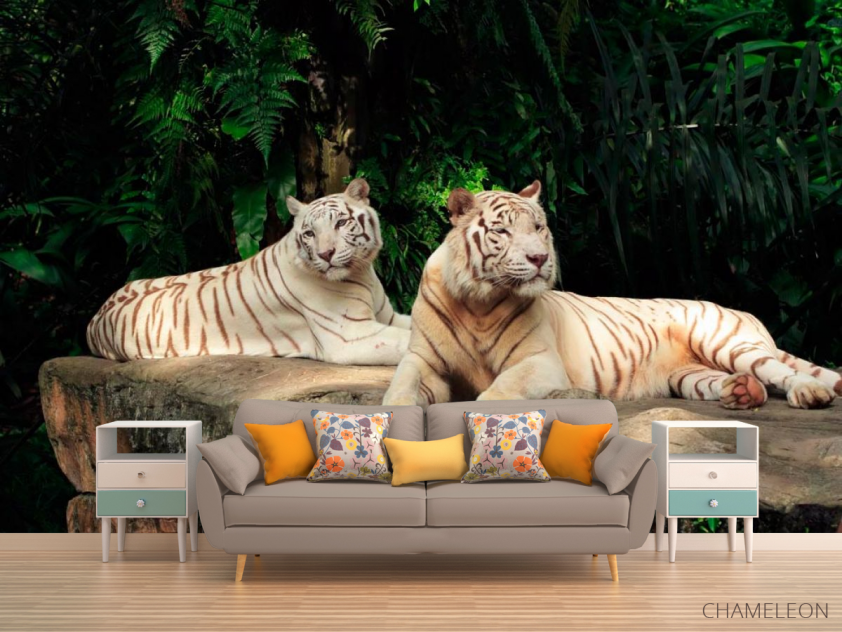 Фотообои Семейство белых тигров - 1