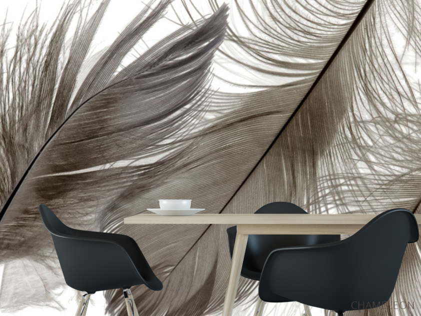 Фотошпалери Коричневі пір'я - 1
