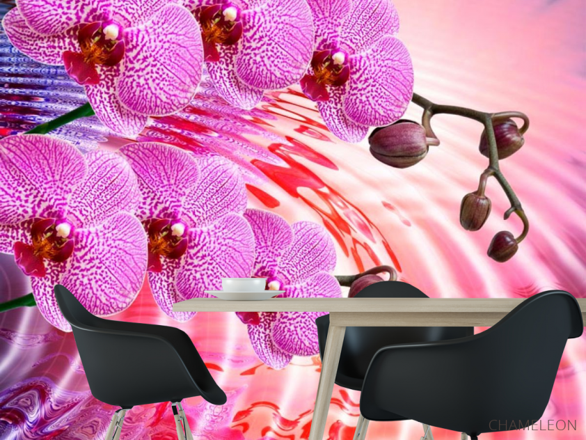 Фотошпалери Бузкові квітучі орхідеї - 1