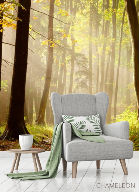 Фотообои Деревья, лес - 3