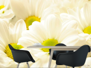 Фотошпалери Великі Ромашки - 1