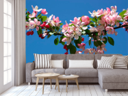 Фотообои Черешня цветущая - 3