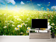 Фотообои Восход в ромашковом поле - 2