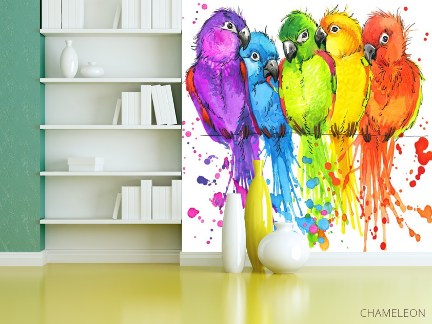 Фотошпалери п'ять різнокольорових папуг малюнок - 3