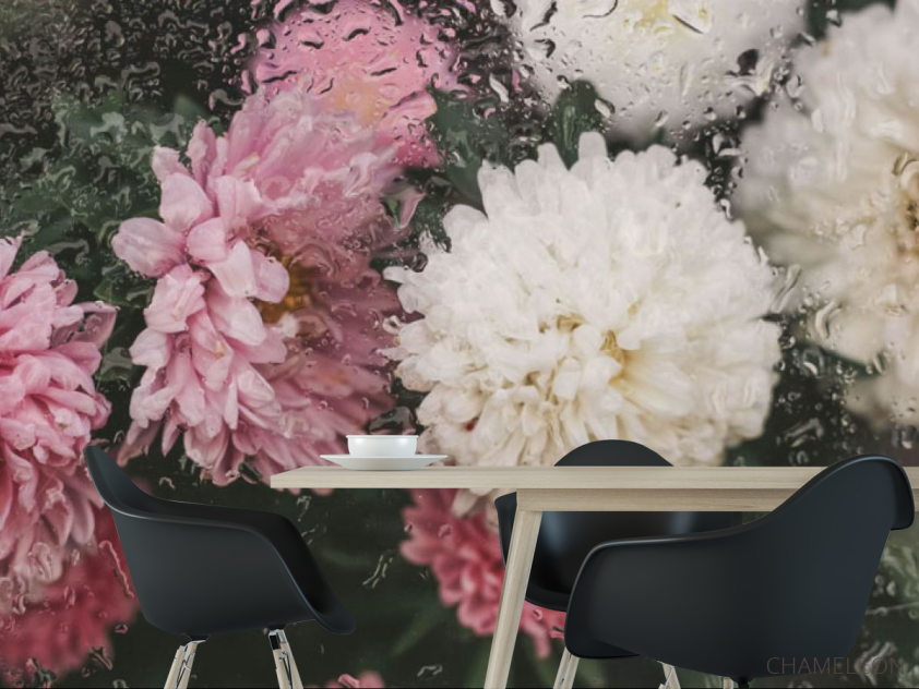 Фотошпалери Хризантеми з краплями дощу - 1