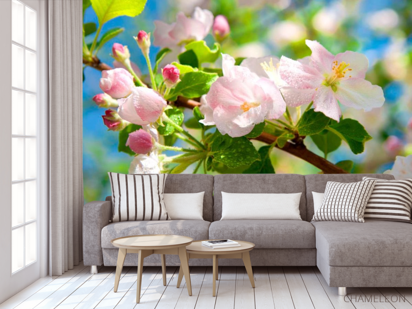 Фотообои Цветущий шиповник - 3