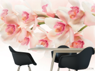 Фотошпалери Квіти - 1