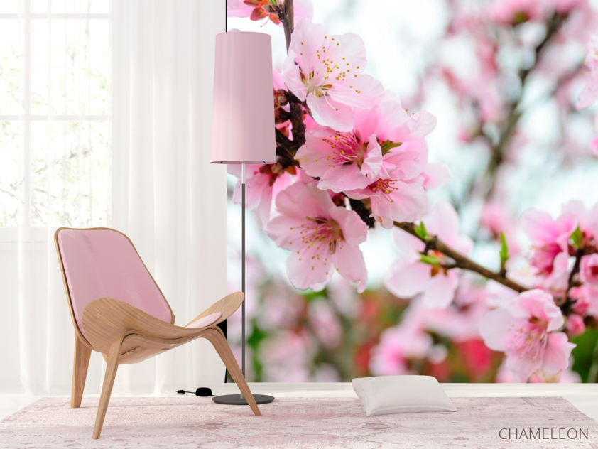 Фотошпалери рожева сакура - 4