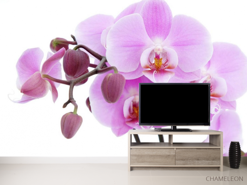 Фотообои сиреневая орхидея - 2