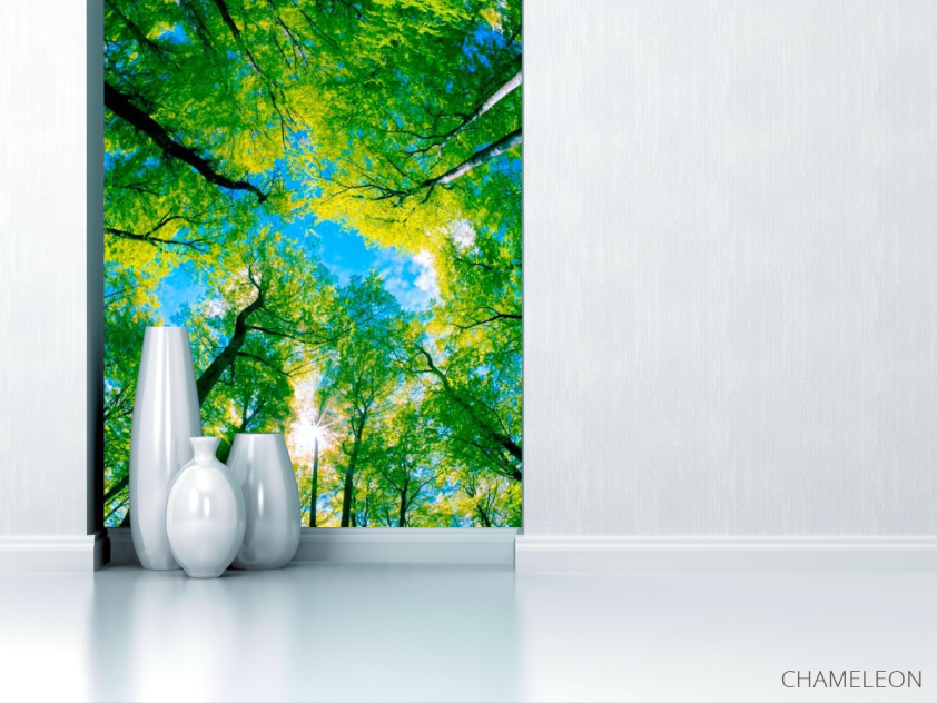 Фотообои Верхушки деревьев - 1