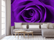 Фотообои фиолетовая роза - 3