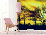 Фотошпалери жовте небо за деревами - 4