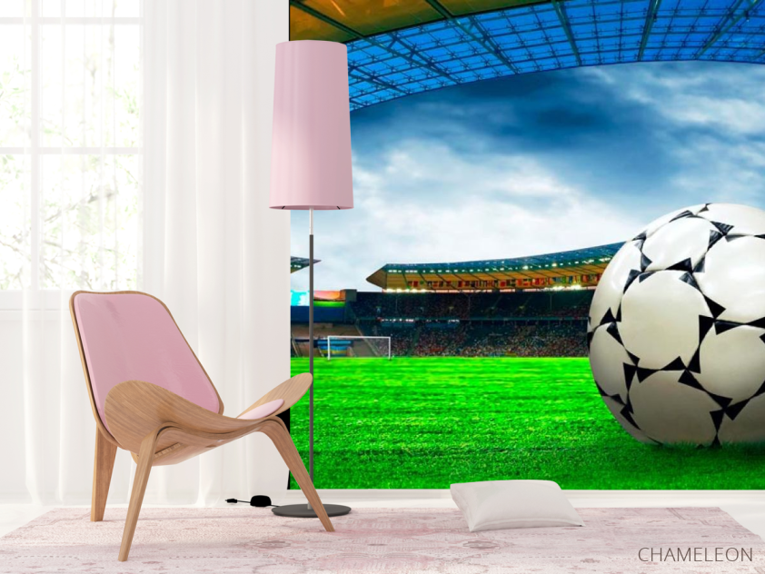 Фотошпалери Арена перед грою - 4