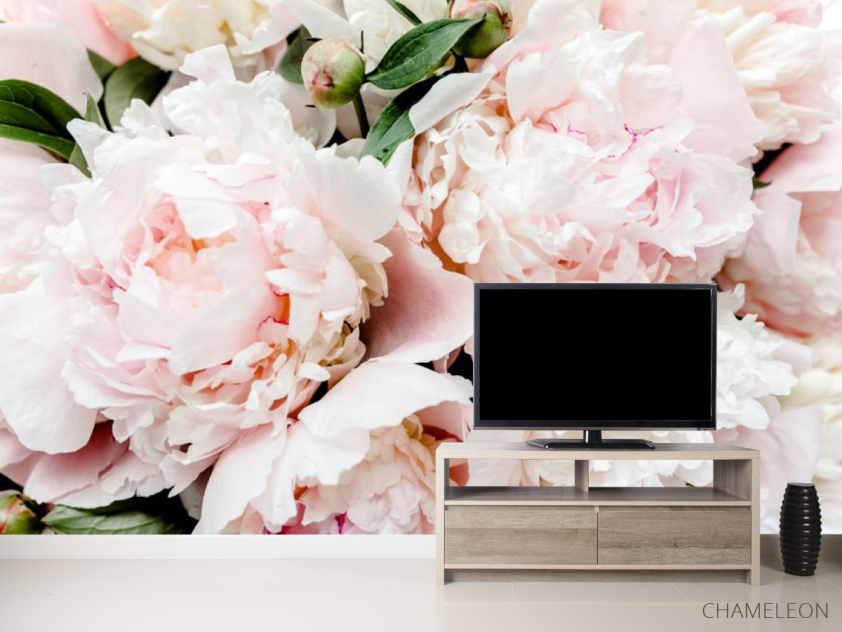 Фотообои Персиковые пионы - 2