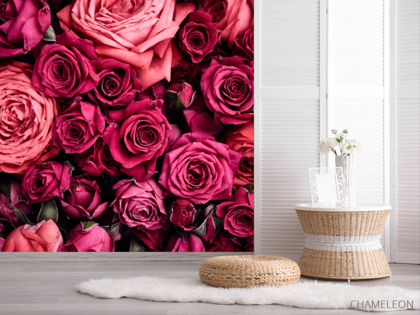Фотошпалери Троянди - 2