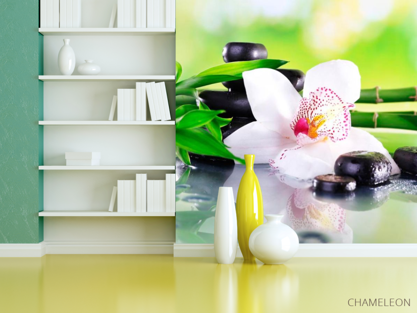 Фотошпалери Квітка орхідеї - 3