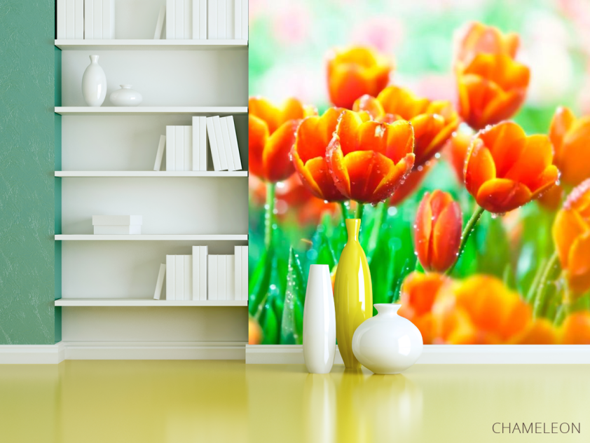 Фотообои Красно-желтые тюльпаны - 3