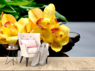 Фотообои Орхидея - 4