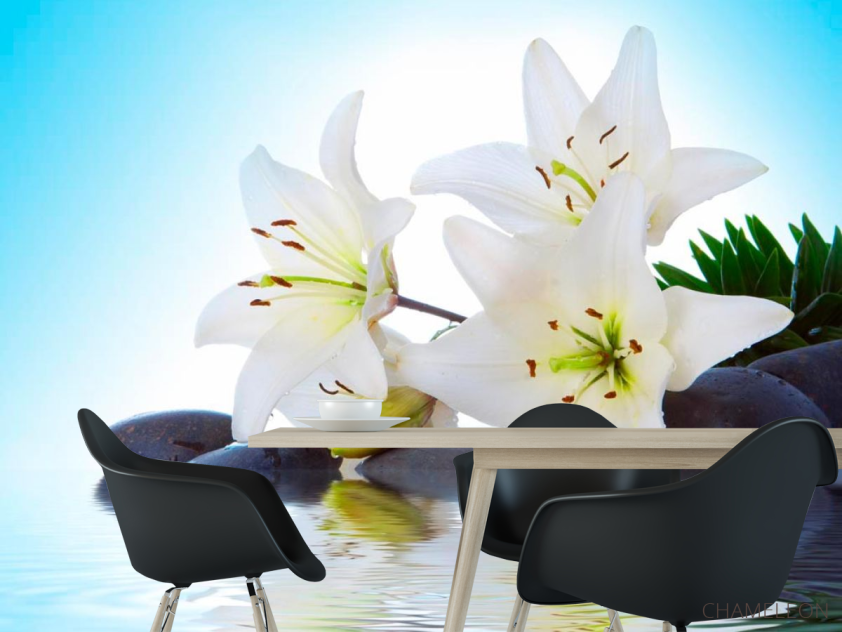 Фотошпалери Лілії, каміння, вода - 1