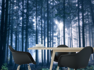 Фотошпалери ліс - 1