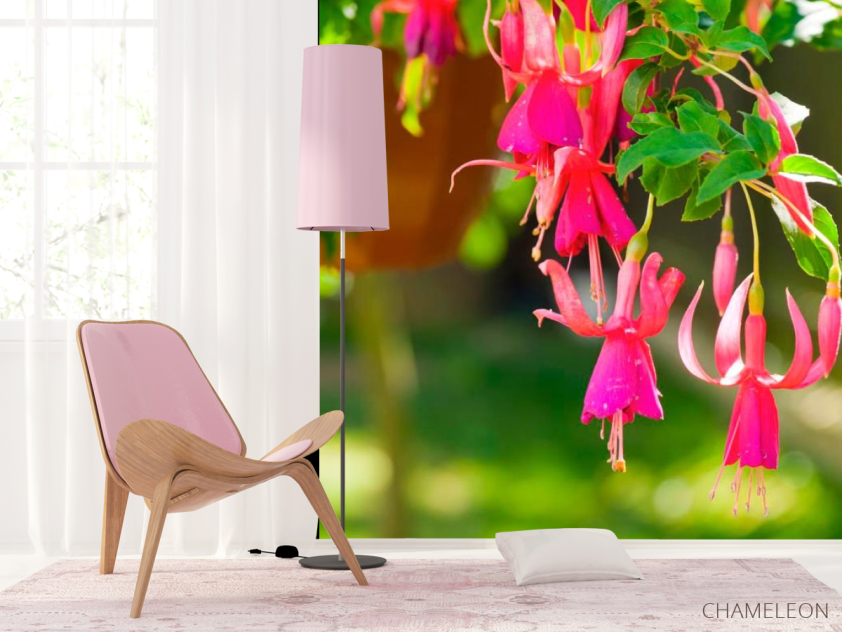 Фотошпалери Малинові дзвоники - 4