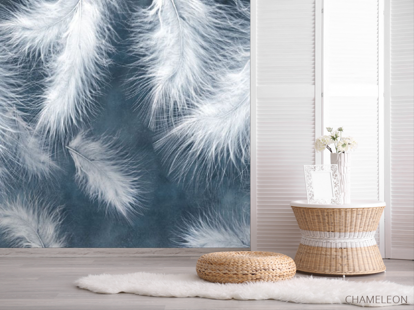 Фотошпалери пір'я - 2