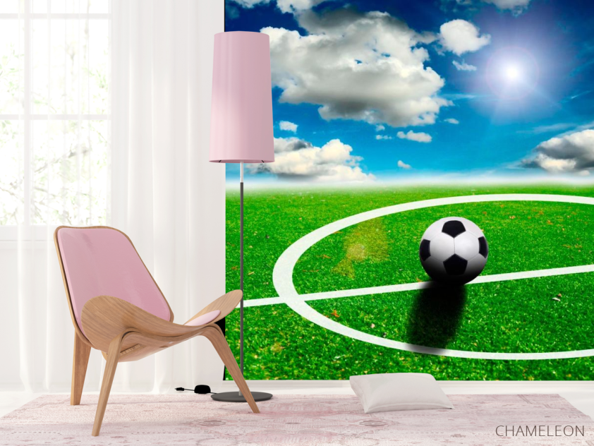 Фотообои Мяч на поле - 4