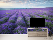Фотообои лавандавое поле - 2