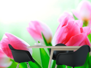 Фотошпалери Тюльпани в цвіту - 1