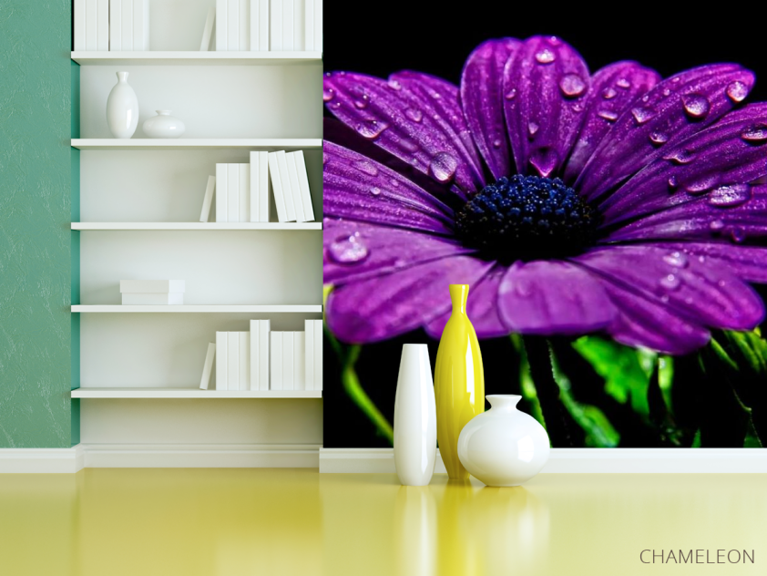 Фотошпалери Фіолетовий квітка - 3