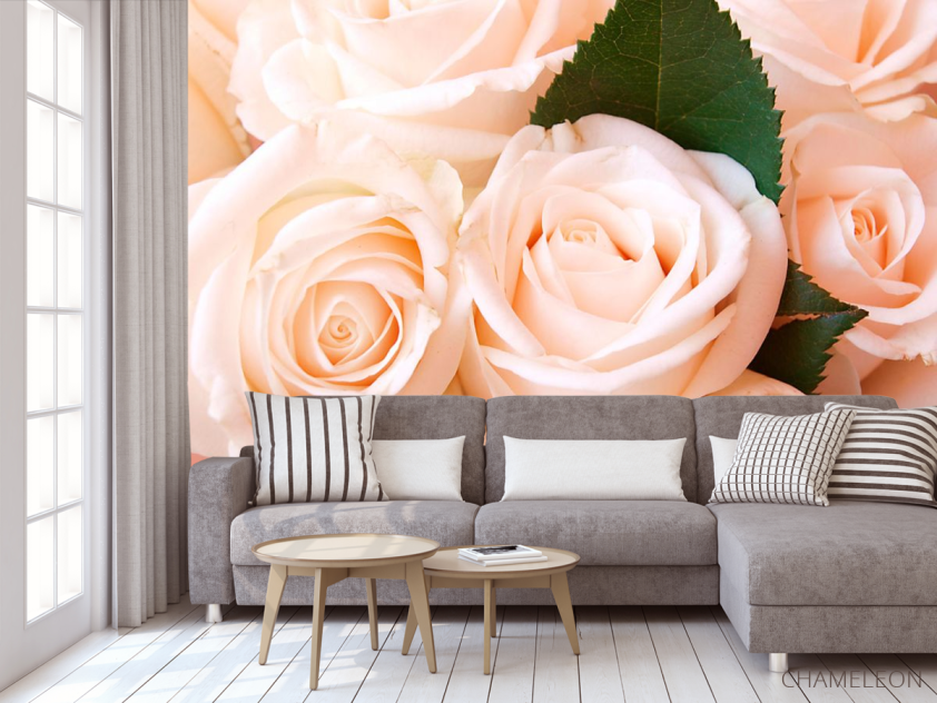 Фотообои Розы - 3