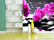 Фотошпалери Рожеві квіти та каміння - 3