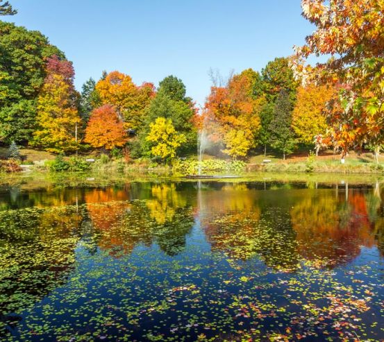 Фотошпалери осінь дерева і фонтан над озером 20827