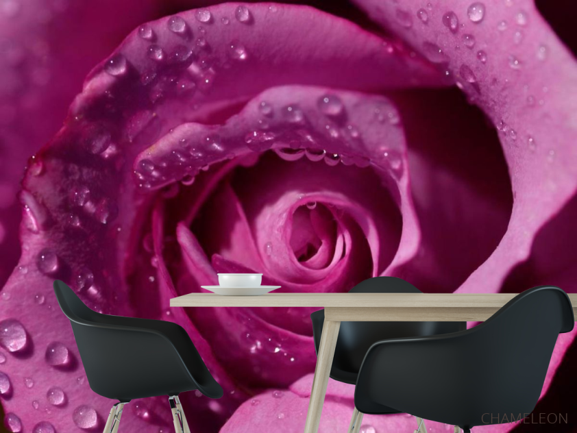 Фотошпалери Троянда - 1