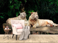 Фотообои Семейство белых тигров - 4