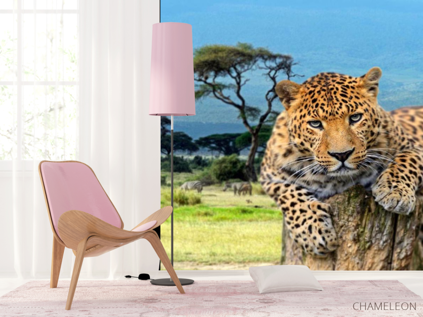 Фотошпалери Гепард перед стрибком - 4