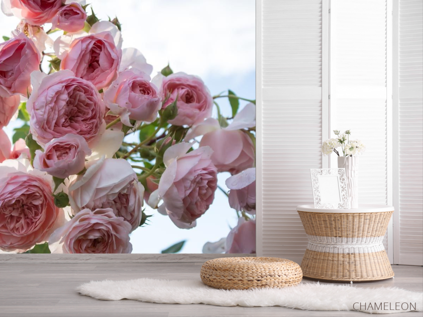 Фотошпалери великі рожеві бутони - 2