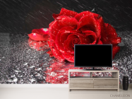 Фотообои Бардовая роза - 2