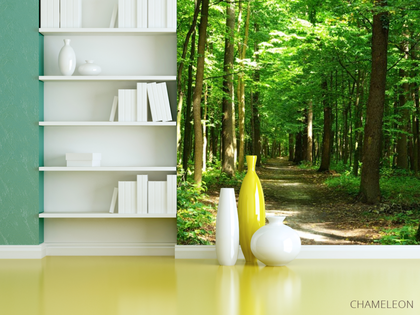 Фотошпалери зелений ліс - 3