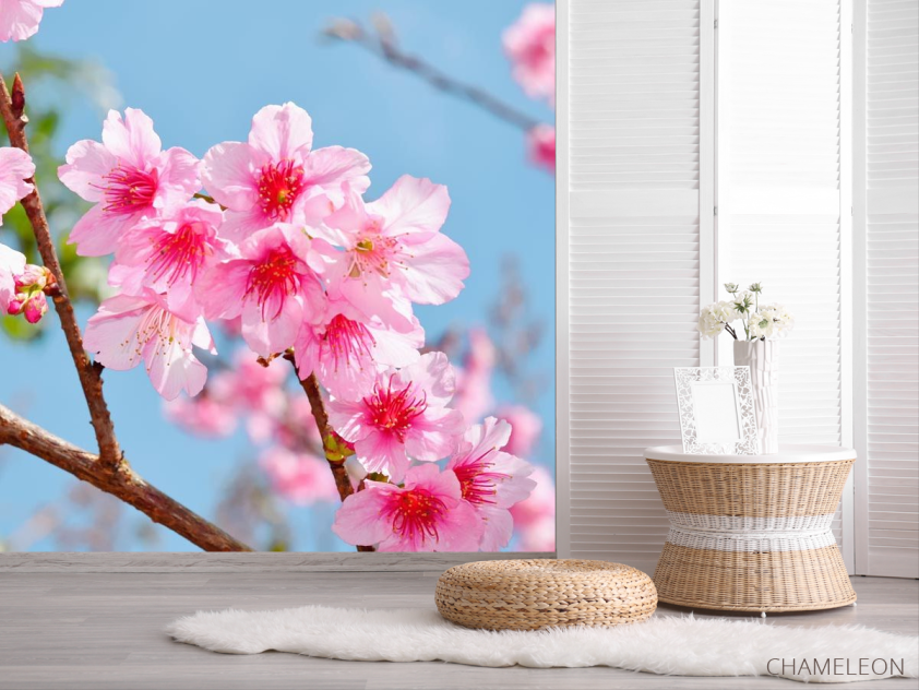 Фотошпалери яскраві рожеві квіточки на дереві - 2