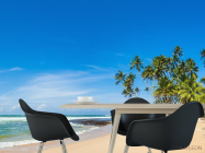 Фотошпалери пальми на білому піску - 1