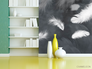 Фотошпалери білі пір'я на сірому - 3