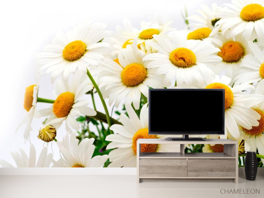 Фотообои Букет полевых ромашек - 2