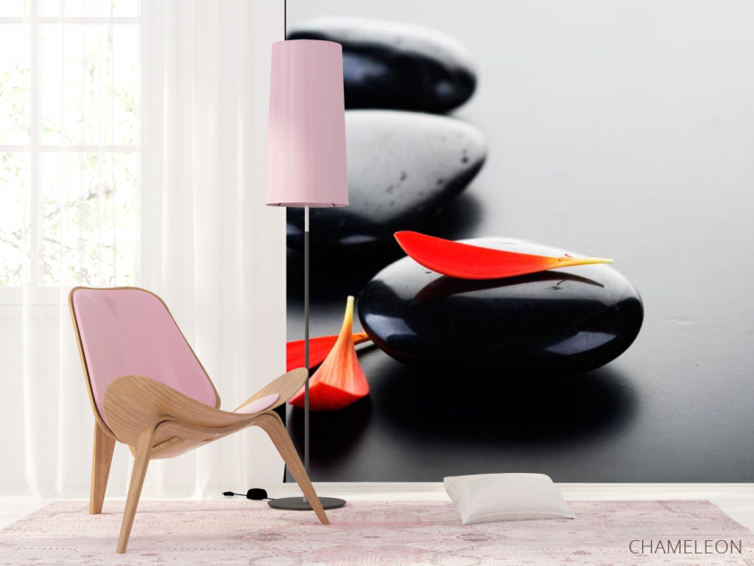 Фотошпалери Пелюстки і камені - 4