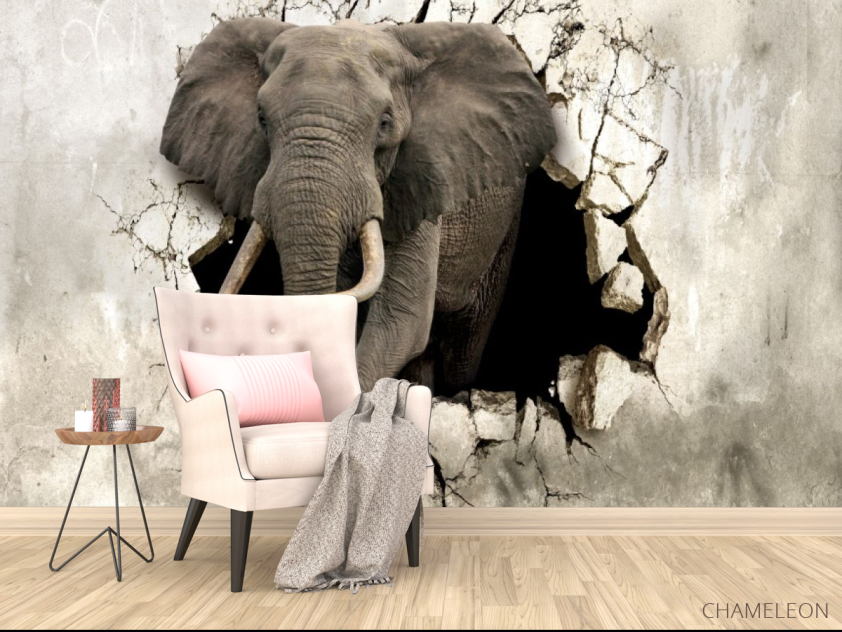 3д фотообои Слон - 4