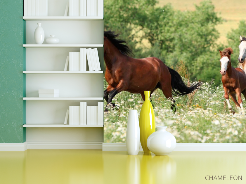 Фотошпалери Коні на лузі - 3