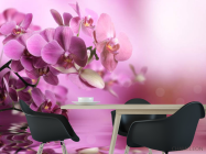 Фотошпалери орхідеї - 1