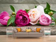 Фотообои розовые пионы - 1